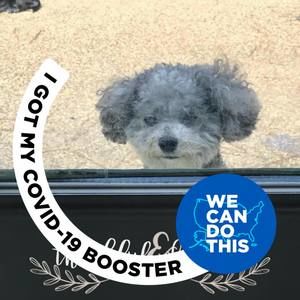 Meet your Posher, Janice